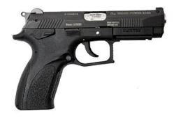 Concealed Handguns AbsoluteRights.com